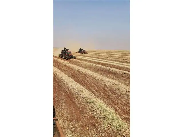 Consultoria e Pesquisa - Midas Research