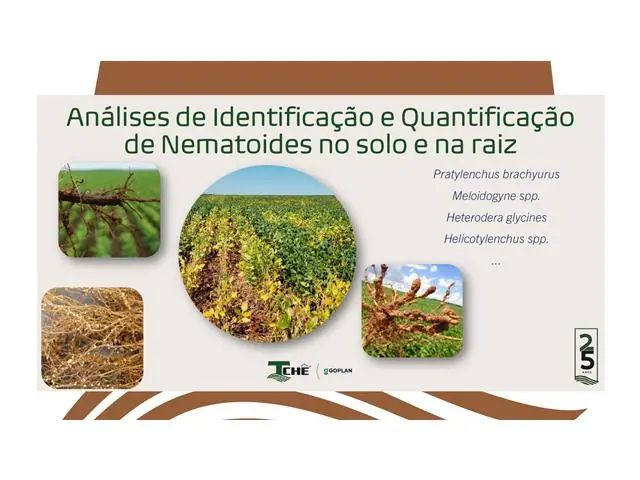 TECNOTCHÊ CONSULTORIA EM SAÚDE DO SOLO - 2