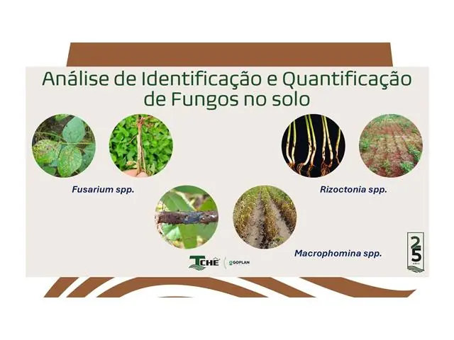 TECNOTCHÊ CONSULTORIA EM SAÚDE DO SOLO - 3