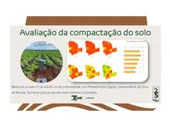 TECNO BIO - CONSULTORIA EM BIOLOGIA DO SOLO - 4