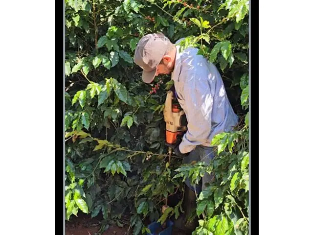 NUTRI PRECISION - Agricultura de Precisão (Grid 3/10) - 2