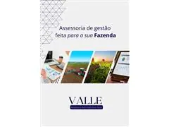 Assessoria em Gestão de Fazendas