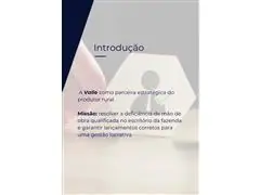 Assessoria em Gestão de Fazendas - 1