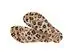 Chinelo Havaianas Slim Animals Bege/Bege - 2