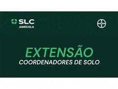 Extensão Coordenadores de solo - 0