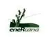 Consultoria Enercana - 0