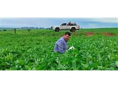 PATRULHA PERCEVEJO - 5