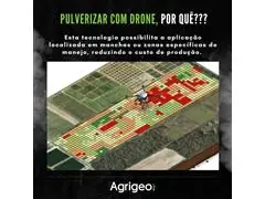 PULVERIZAÇÃO COM DRONE - ÁREA TOTAL (VARZEA E TERRENOS PLANOS) - 4