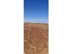 CONSULTORIA AGRONOMICA, VISITAS TECNICAS E PRESTAÇÕES DE SERVIÇOS. - 4