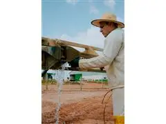 RODADA TÉCNICA SEMANAL - 1