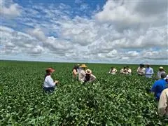 Treinamentos, Palestra, Rodadas Técnicas em Entomologia - 0