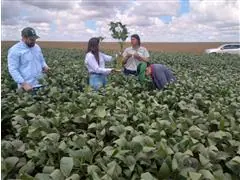 Treinamentos, Palestra, Rodadas Técnicas em Entomologia - 5