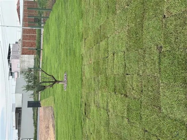 PROJETO E EXECUÇÃO DE PAISAGISMO - 3