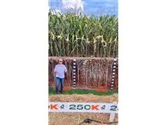 AMBIENTES DE PRODUÇÃO e SISTEMAS DE ALTA PRODUTIVIDADE - 2