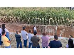 AMBIENTES DE PRODUÇÃO e SISTEMAS DE ALTA PRODUTIVIDADE - 3