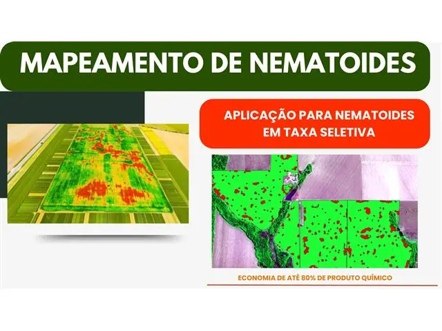 MAPEAMENTO E ANALISE DE NEMATOIDES - APLICAÇÃO SELETIVA DE NEMATICIDAS
