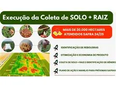 MAPEAMENTO E ANALISE DE NEMATOIDES - APLICAÇÃO SELETIVA DE NEMATICIDAS - 1