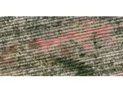 Algoritmo de IA para Restituição de Linhas e Falhas de Plantio - 3