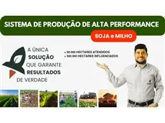 Sistema de Produção de Alta Performance (Soja + Milho)