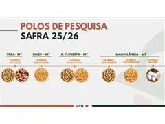 Sistema de Produção de Alta Performance (Soja + Milho) - 1