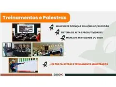 Sistema de Produção de Alta Performance (Soja + Milho) - 2