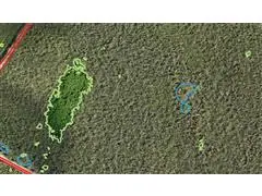 Algoritmo de IA para Mapeamento de Daninhas - 1