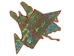 Algoritmo de IA para Mapeamento de Daninhas - 2