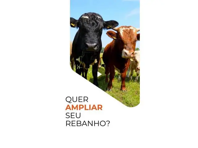 Planejamento agronômico em integração lavoura pecuária
