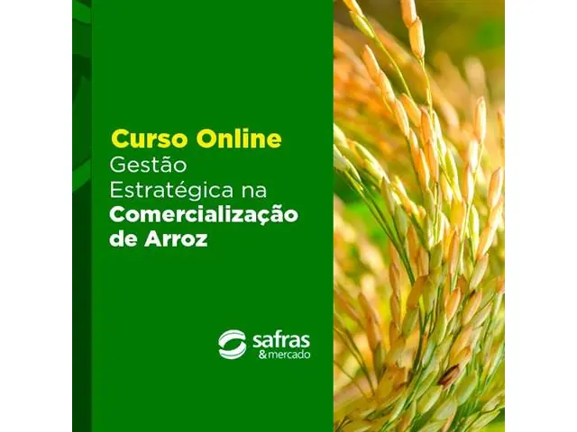 Curso Gestão Estratégica na Comercialização de Arroz - Online