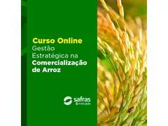 Curso Gestão Estratégica na Comercialização de Arroz - Online - 0