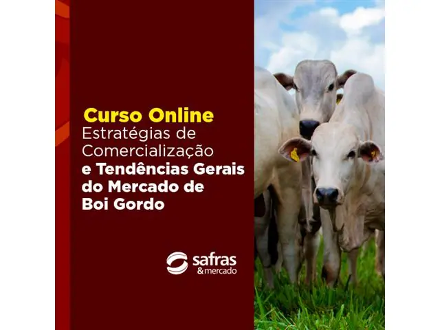 Curso Estratégias de Comercialização e Tendências Gerais do Mercado