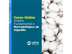 Curso Análise Fundamental e Mercadológica de Algodão Online
