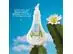 Sabonete Líquido Floral 200ml L´Occitane Au Brésil - 1