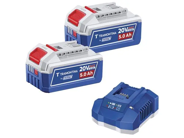 Kit 2 Baterias 20V 5,0Ah + Carregador 4,0A