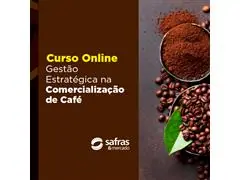 Curso Gestão Estratégica na Comercialização de Café - Online 