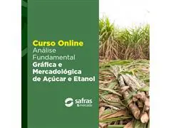 Curso Análise Fundamental Gráfica e Mercadológica de Açúcar e Etanol