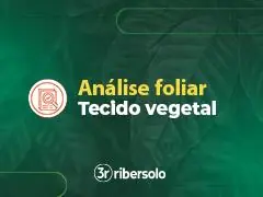 ANÁLISE FOLIAR - 0