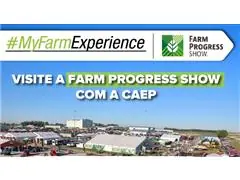 My Farm Experience 26