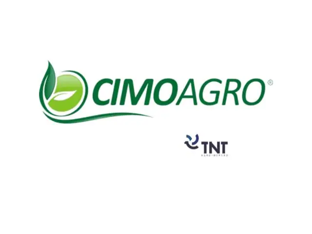 CIA26 - BAYER CIMOAGRO EGITO 2026