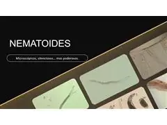 ANÁLISE COMPLETA PLANTARIS - 1