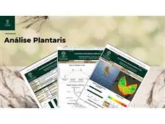ANÁLISE COMPLETA PLANTARIS - 5