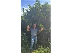 PRESTAÇÃO DE SERVIÇO NA AGRICULTURA (ANÁLISE DE SOLO)