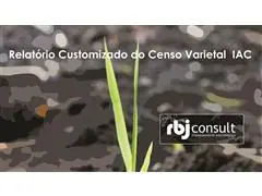 RELATÓRIO CUSTOMIZADO DO CENSO VARIETAL
