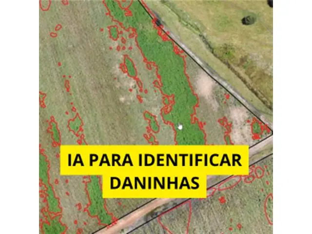 MODELO TREINADO PARA IDENTIFICAR PLANTAS DANINHAS NA CANA