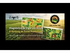 Diagnóstico de vigor da lavoura com imagens de Drone - 2