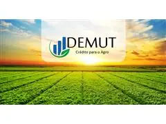 Gestão de Crédito e Cobrança