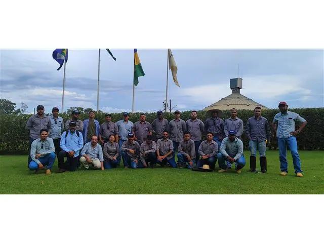 Treinamentos Técnicos