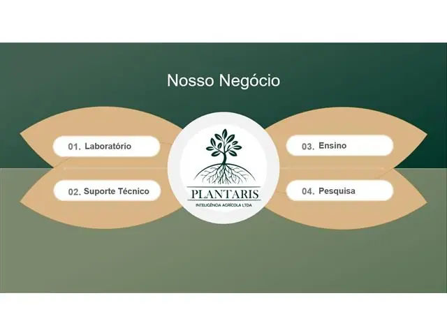 Palestra Técnica - 3