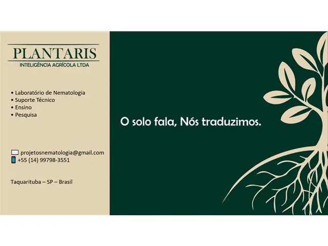 Palestra Técnica - 5