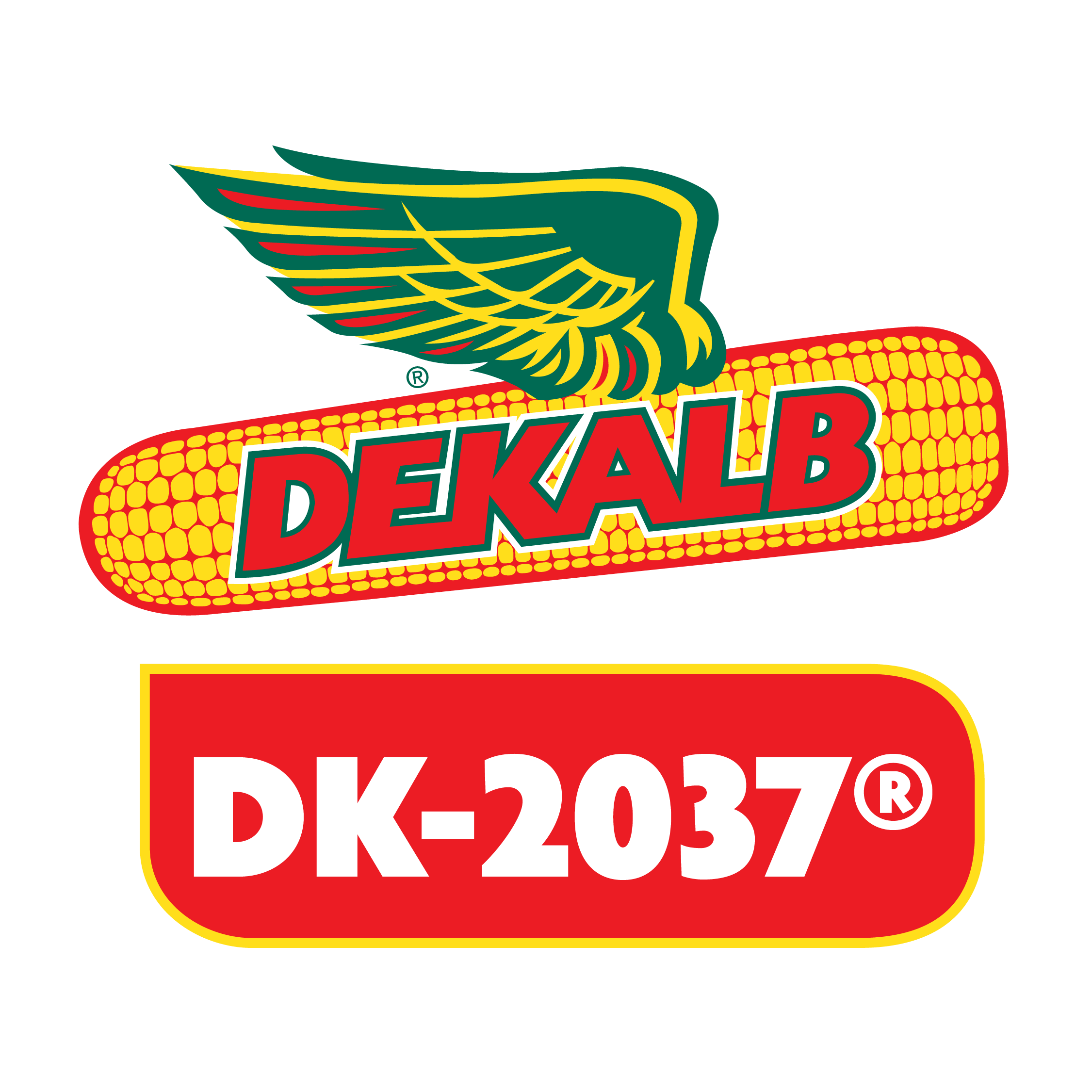 Semilla de Maíz DK-2037 Tratada Acceleron